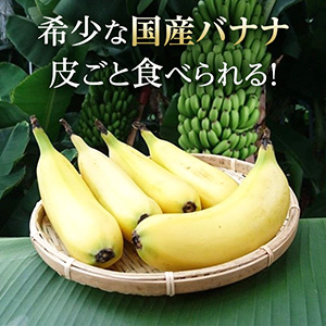 南足柄産国産バナナ スペシャル(栽培期間中農薬不使用）5本セット